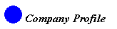 Company profile